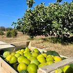 Arneo ゲストハウス