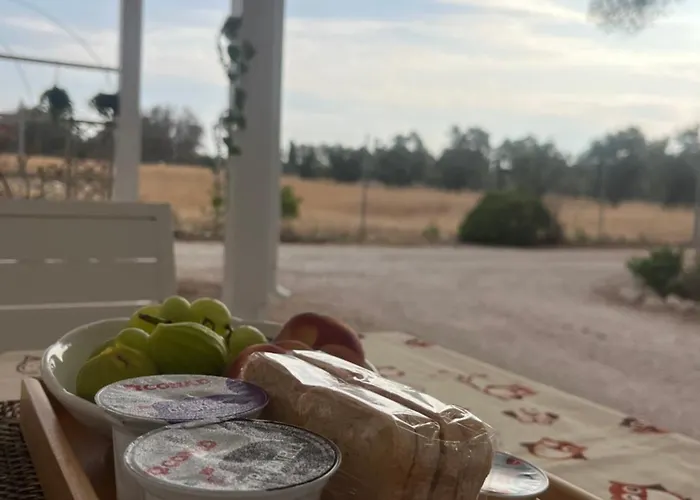 Arneo טורה לפילו